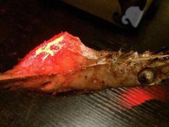 -阿文烧烤(金环路店)