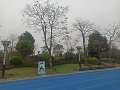 -文华公园(禅城区)