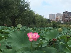 -前关湿地公园