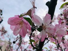 -上海中国航海博物馆