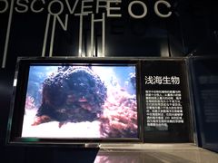 -同济大学四平路校区深海探索馆