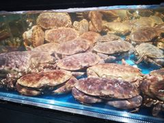 -盒马鲜生(曜一城店)