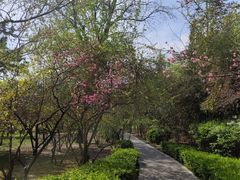 -迎泽公园