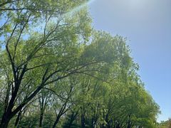 -永定河休闲森林公园