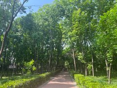 -洛阳市隋唐城遗址植物园