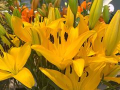 -Peet's Coffee皮爷咖啡(上海长风大悦城店)