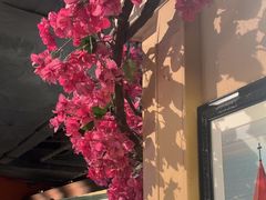 -前海沿·青岛菜(李沧万达店)