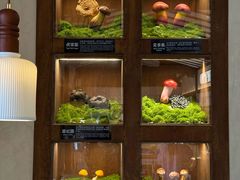 -菌自由丨野生菌火锅特色庭院餐厅(丽江古城店)