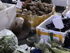-三亚新鸿港水果一级批发市场