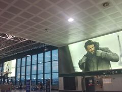 -米兰马尔彭萨国际机场