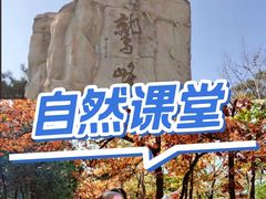 -北京鹫峰国家森林公园