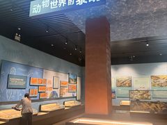 -昆明市博物馆(昆明市文物保护和考古研究中心)