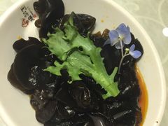 -阿英煲(凉城路店)