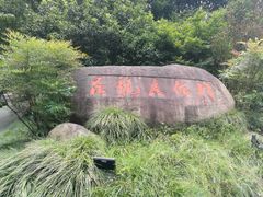 -杭州龙井幼儿园