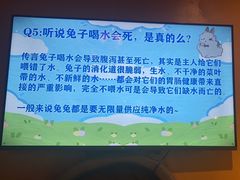 -猫猫幼稚园·撸猫·桌游·电玩