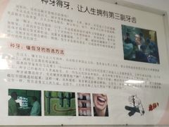 -上海市东方医院(总院)