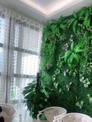 -苗医生草本科技祛痘