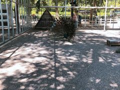 -大连铭湖国际观光牧场