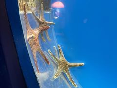 -西安曲江海洋极地公园