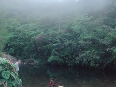 -梧桐山风景名胜区