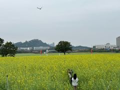 -光明小镇欢乐田园
