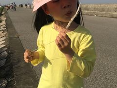 -南汇嘴观海公园