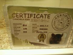 -龙猫仔乐园(惠福东路店)