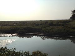 -北海金海湾红树林生态旅游区