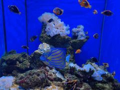 -多彩贵州城极地海洋世界