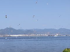 -海埂大坝