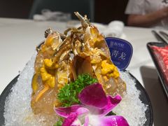 -海月轩海鲜豆捞(紫金塔店)