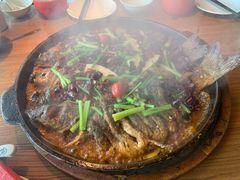 -老板恋上鱼(印象城店)