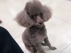 -宠福鑫康馨动物医院·骨科·眼科