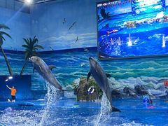 -多彩贵州城极地海洋世界