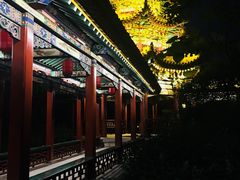 -迎泽公园