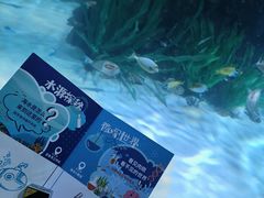 -沈阳海洋探索中心