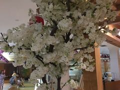 -热带雨林汗蒸馆(汶水东路店)