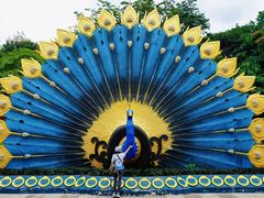 -西双版纳勐泐文化旅游区