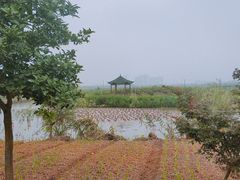 -米果果小镇