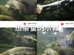 -泉州海丝野生动物世界