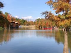 -上海长兴岛郊野公园