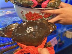 -辣螃铠盆盆蟹大排档(海昌店)
