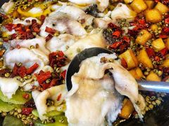 -金三可市井水煮鱼(金碧园店)