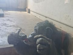 -哈尔滨北方森林动物园