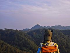 -南山植物园