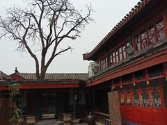 -楚畹园