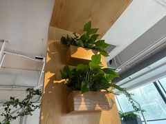-嘉和一品粥(方庄店)