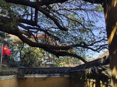 -普陀山慧济禅寺