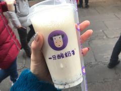 -一只酸奶牛(八一路店)