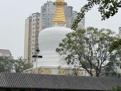 -护国法轮寺